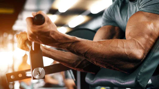 Muskelaufbau - Masse